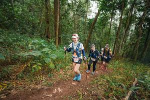 BIB: 
                            <button type="button" onclick="openModal(22482399)" class="btn btn-primary btn-sm float-right btn-popup" data-toggle="modal" data-target=".modal-high-quality">
                        <i class="fas fa-shopping-cart"></i> Add to Cart
                    </button>
                                            <button type="button" onclick="isThisMe(22482399, true)" class="btn btn-success btn-sm float-right btn-popup btn-isme hidden" data-toggle="tooltip" data-placement="bottom" title="นี่คือรูปของคุณใช่ไหม คลิกที่นี่เพื่อเอาเข้าอัลบั้ม">
                        <i class="fas fa-plus"></i> Add to album
                    </button>
                    <button type="button" onclick="isThisMe(22482399, false)" class="btn btn-warning btn-sm float-right btn-popup btn-isnotme hidden">
                        <i class="fas fa-ban"></i> Remove from album
                    </button>